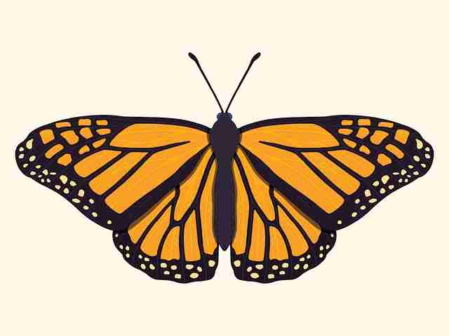 首发——91爆料2024高能解码：TOP榜