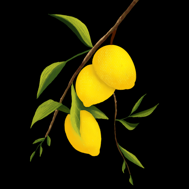 流畅蘑菇视频电脑版探索:影迷福音(诚意推荐)