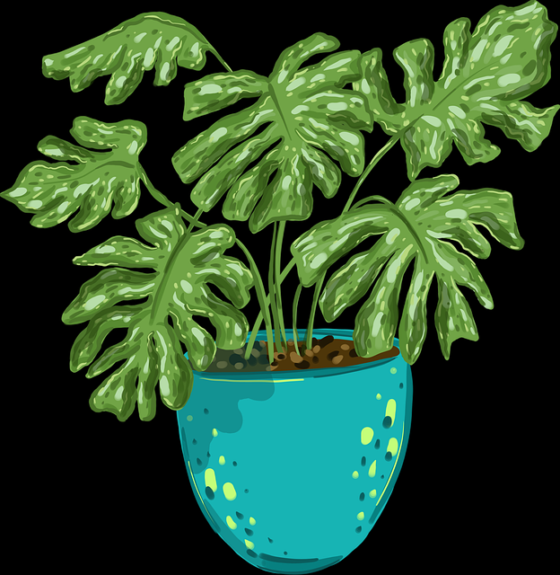 2024年51网网址霸榜趋势前瞻:30招秘籍