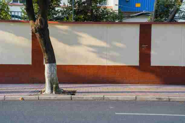 蘑菇影视在线观看——离线热门排行指南秘籍（新手必读）