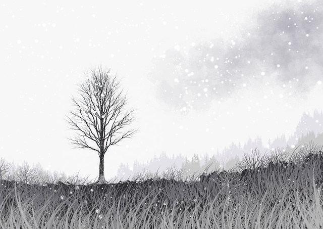 11个理由告诉你每日大赛在线观看 小白也能看懂