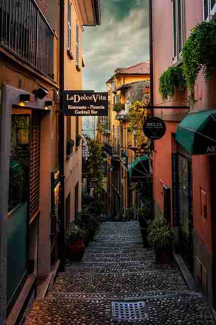 优质蘑菇视频教程：版本对比（2025）